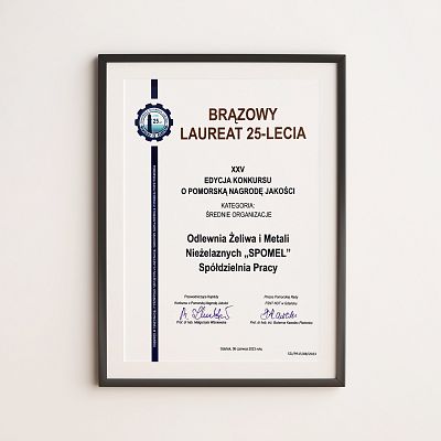 Brązowy Laureat 25-lecia